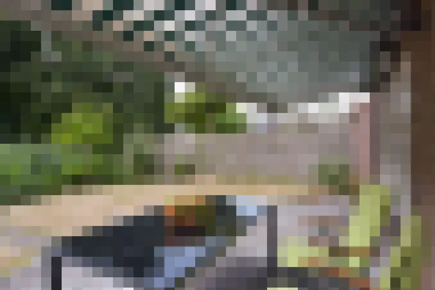 Zorggras 11 Wilnis thumbnail 34