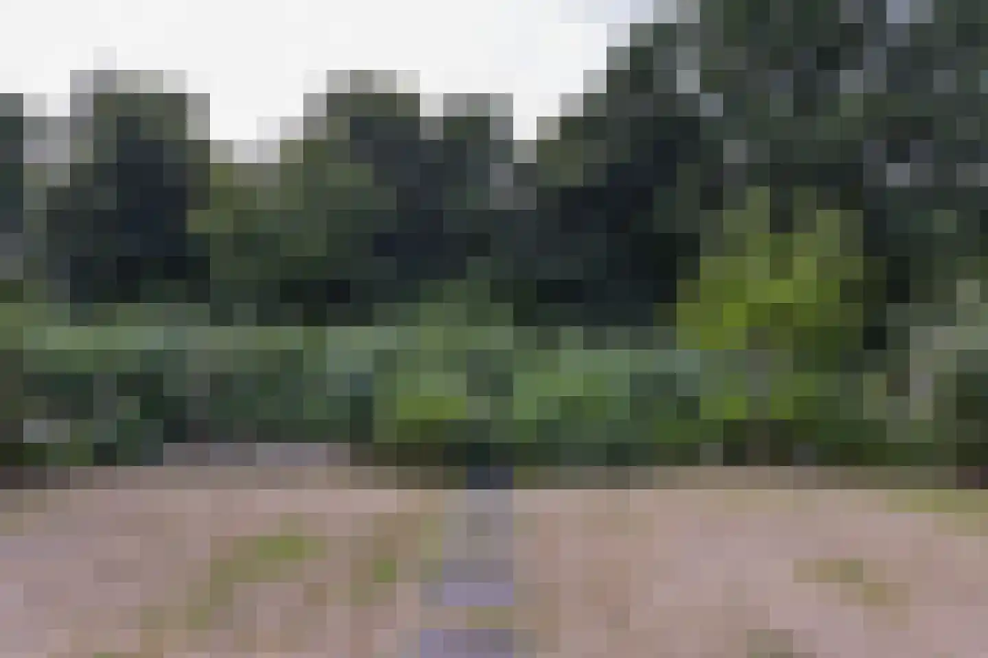 Zorggras 11 Wilnis thumbnail 35