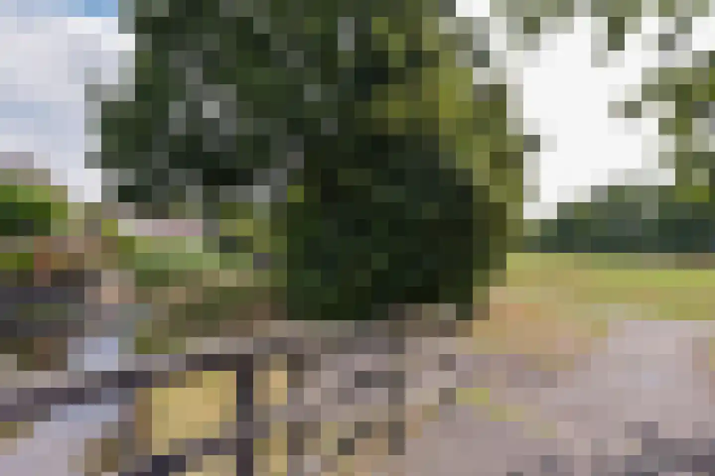 Zorggras 11 Wilnis thumbnail 37