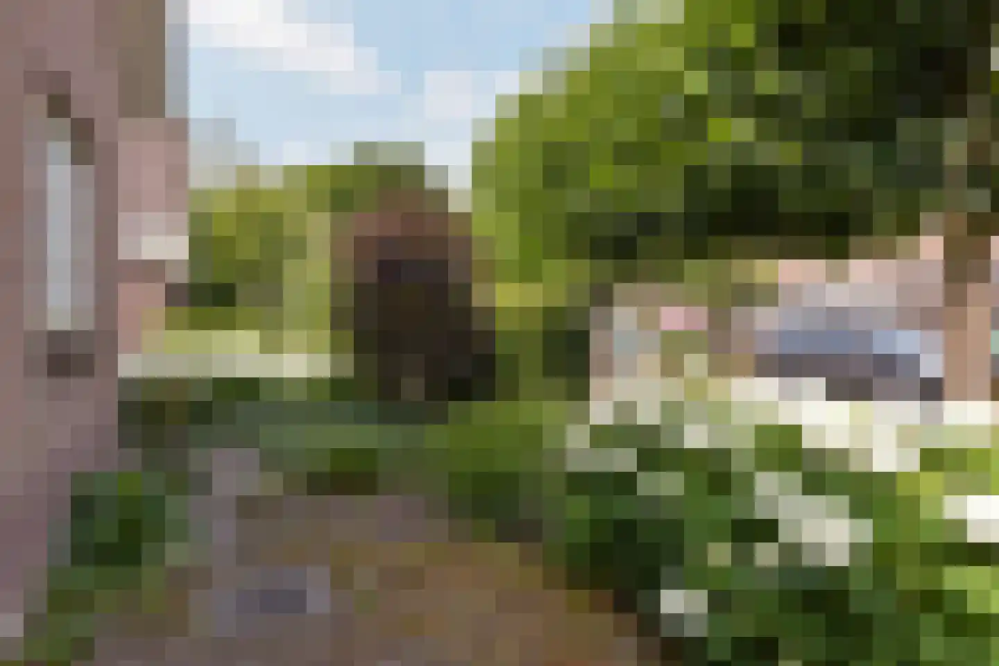 Zorggras 11 Wilnis thumbnail 39