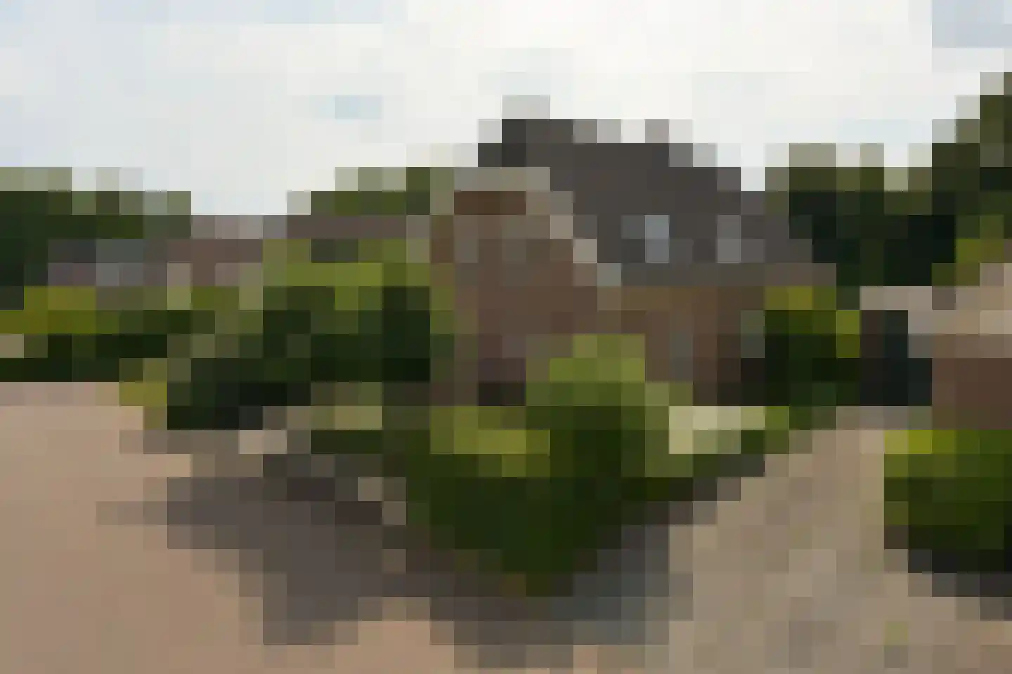 Zorggras 11 Wilnis thumbnail 40