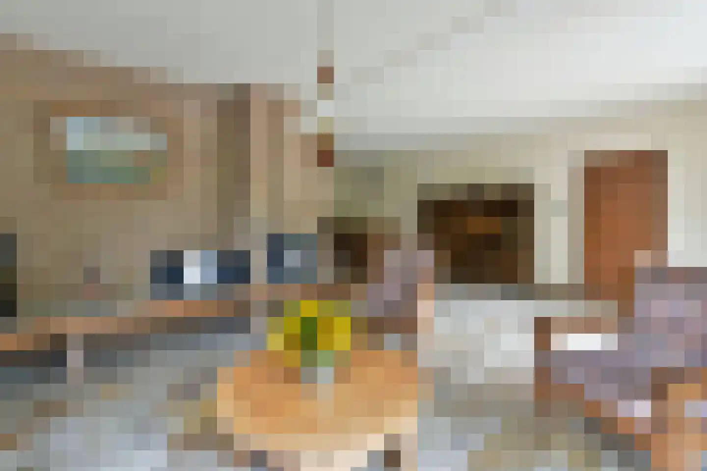 Zorggras 11 Wilnis thumbnail 5