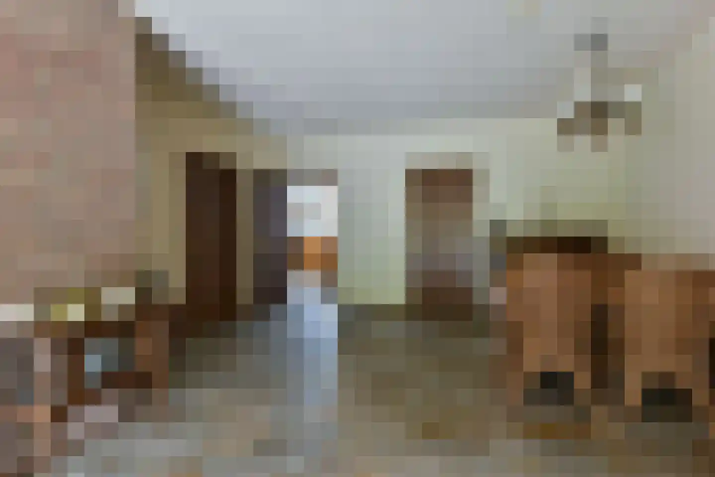 Zorggras 11 Wilnis thumbnail 9