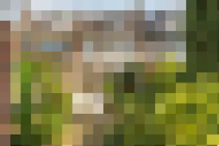 Zorgvliet 31 De Bilt thumbnail 14