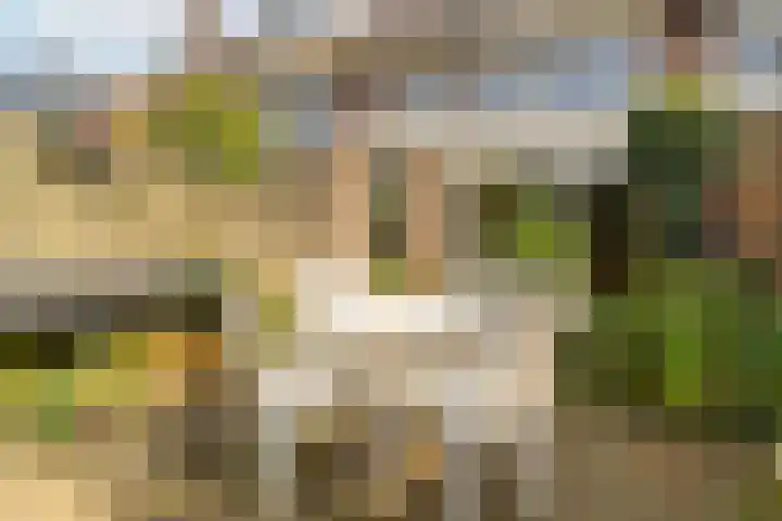 Zorgvliet 31 De Bilt thumbnail 15