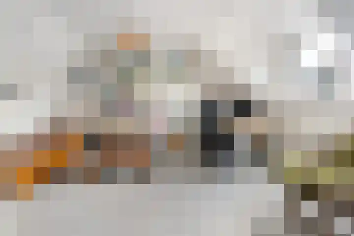 Zorgvliet 31 De Bilt thumbnail 28