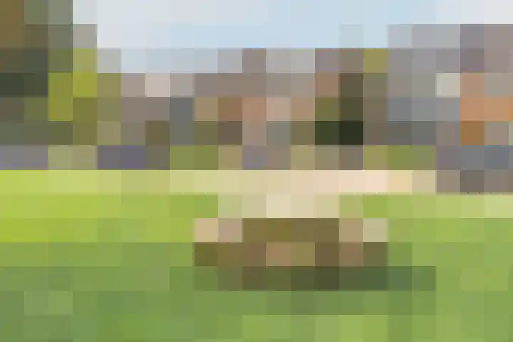 Zorgvliet 31 De Bilt thumbnail 32