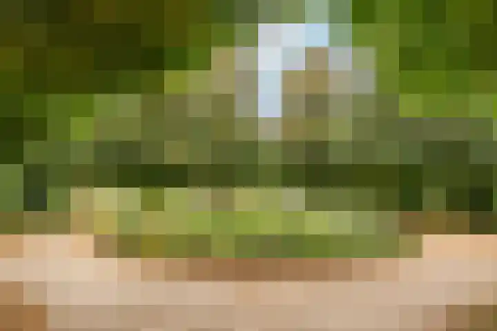 Zorgvliet 31 De Bilt thumbnail 33