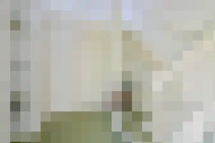 Zorgvlietlaan 10 Medemblik thumbnail 10