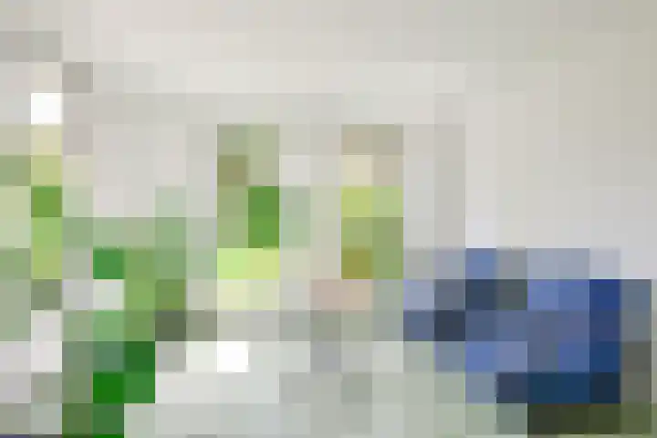 Zorgvlietlaan 10 Medemblik thumbnail 12