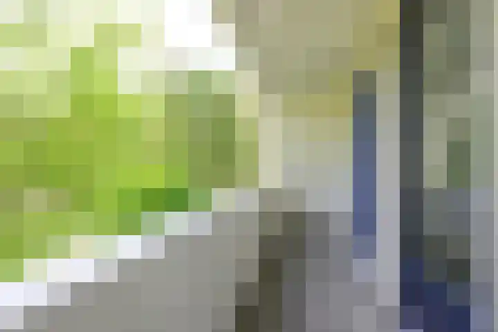 Zorgvlietlaan 10 Medemblik thumbnail 27
