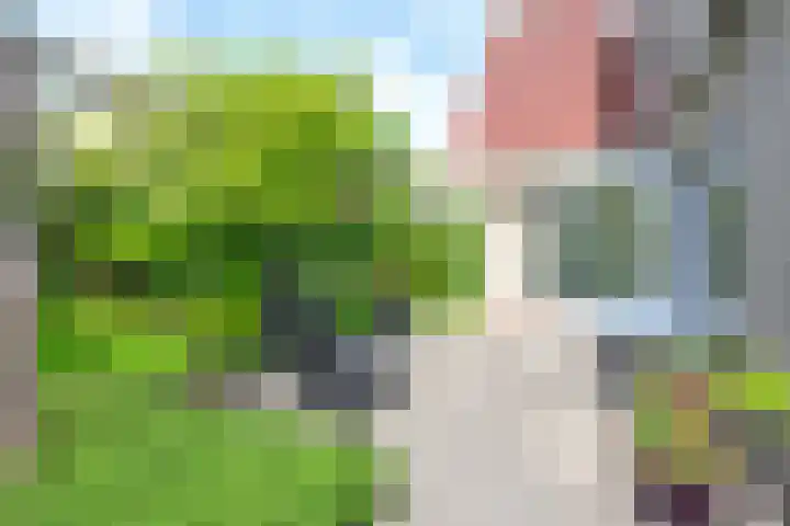 Zorgvlietlaan 10 Medemblik thumbnail 39