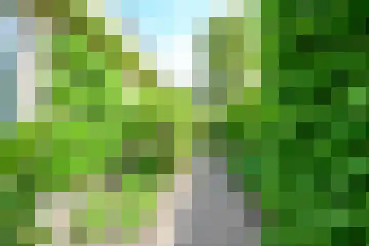 Zorgvlietlaan 10 Medemblik thumbnail 40