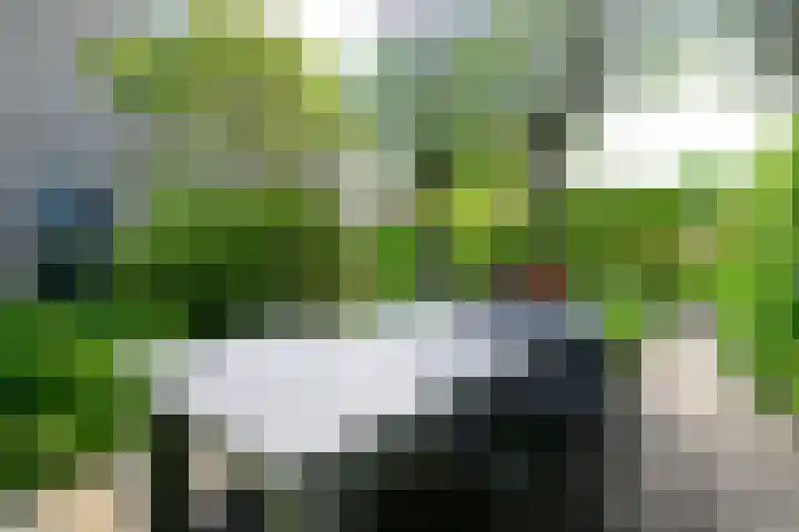 Zorgvlietlaan 10 Medemblik thumbnail 41