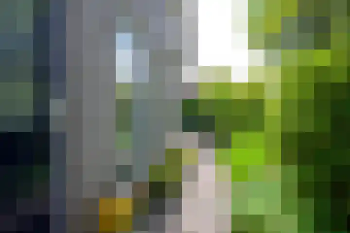Zorgvlietlaan 10 Medemblik thumbnail 42