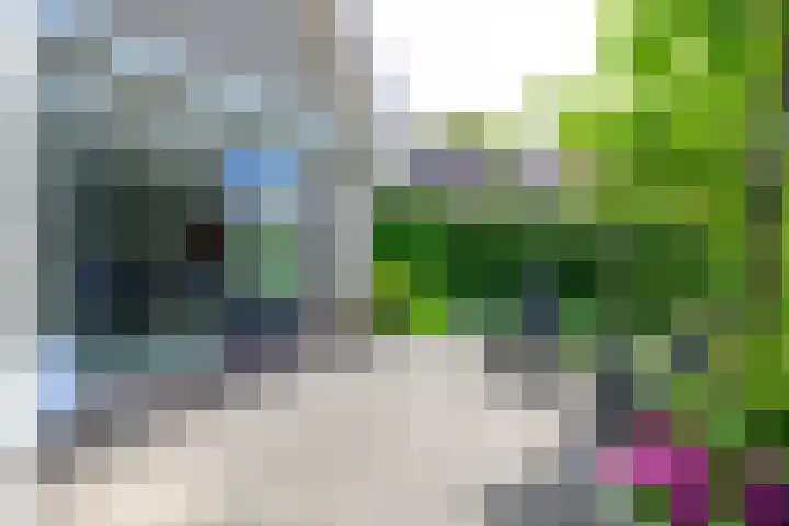 Zorgvlietlaan 10 Medemblik thumbnail 43