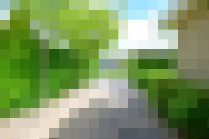 Zorgvlietlaan 10 Medemblik thumbnail 48