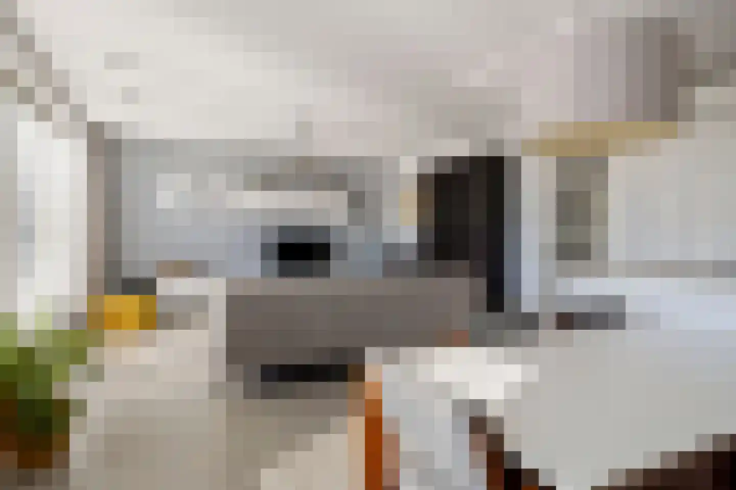 Zorgvlietstraat 1 C5 Breda thumbnail 11