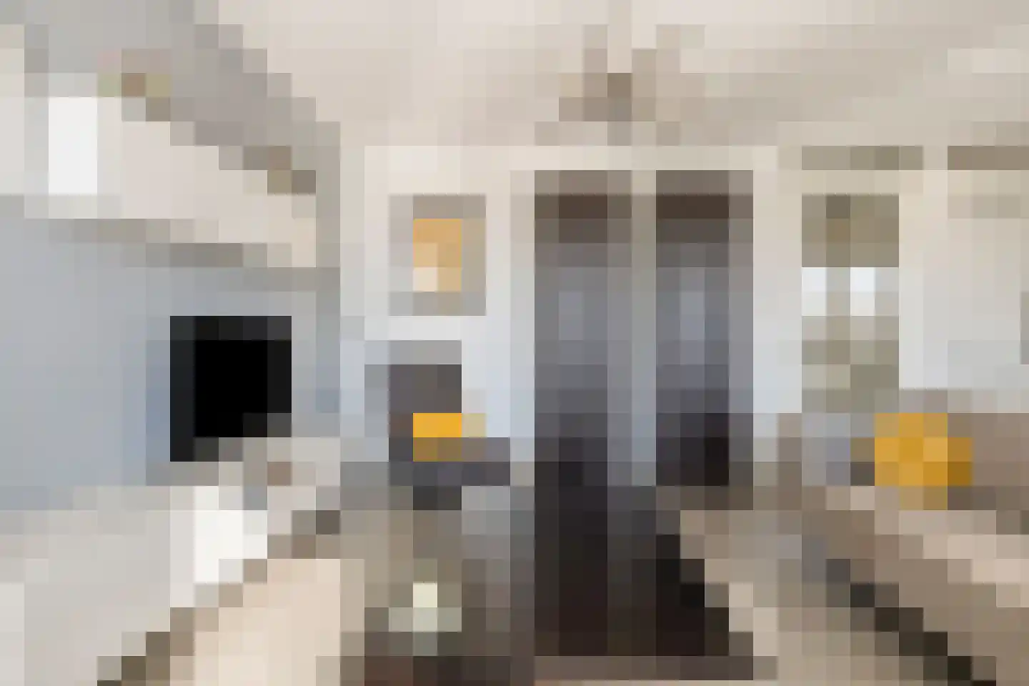 Zorgvlietstraat 1 C5 Breda thumbnail 12
