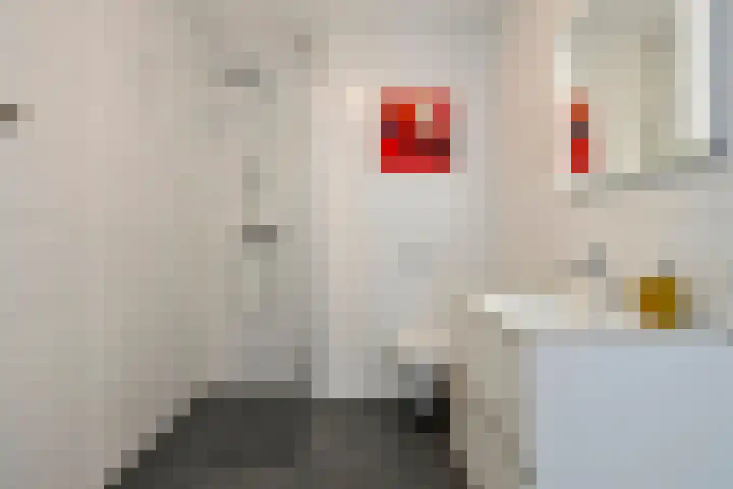 Zorgvlietstraat 1 C5 Breda thumbnail 25