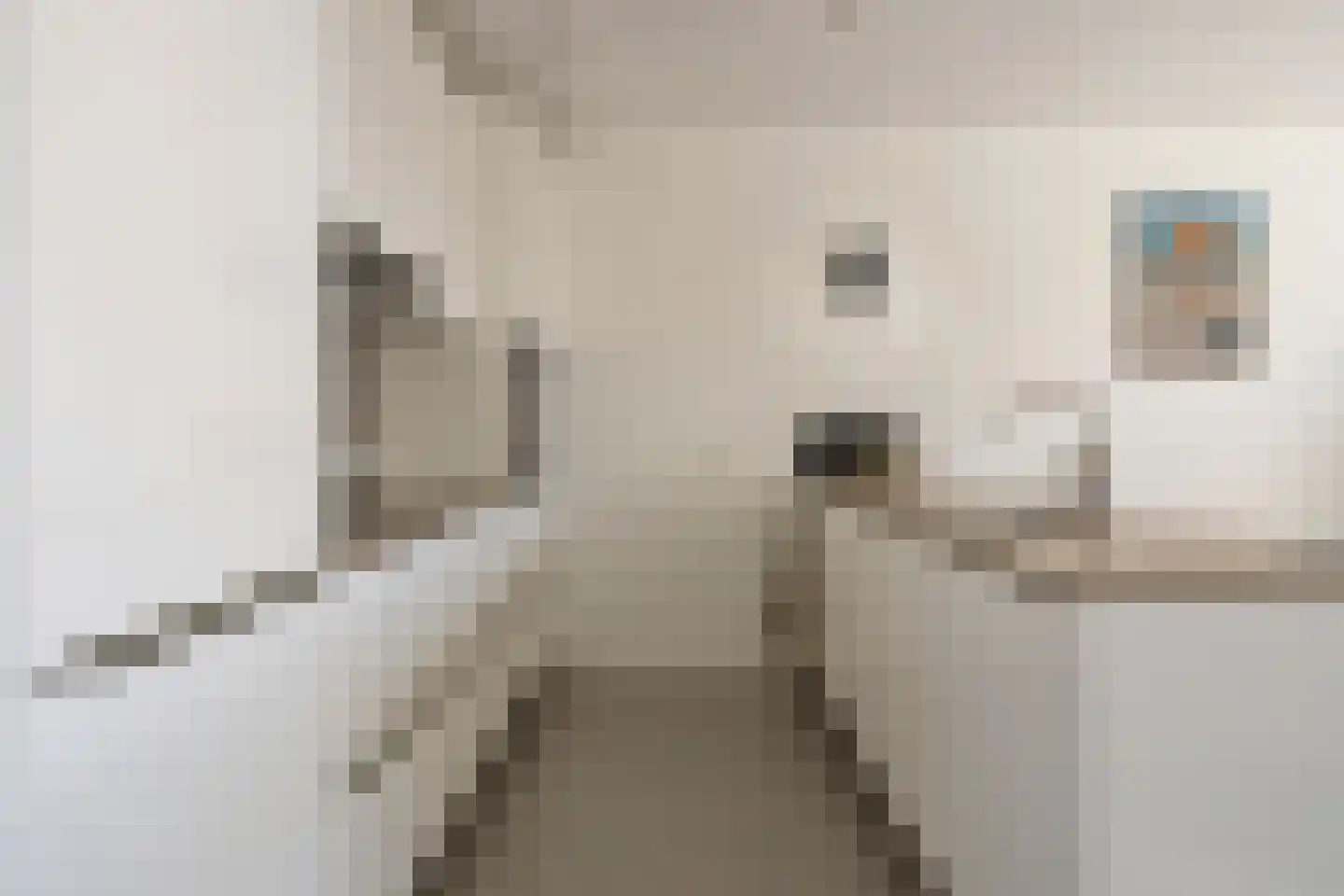 Zorgvlietstraat 1 C5 Breda thumbnail 4
