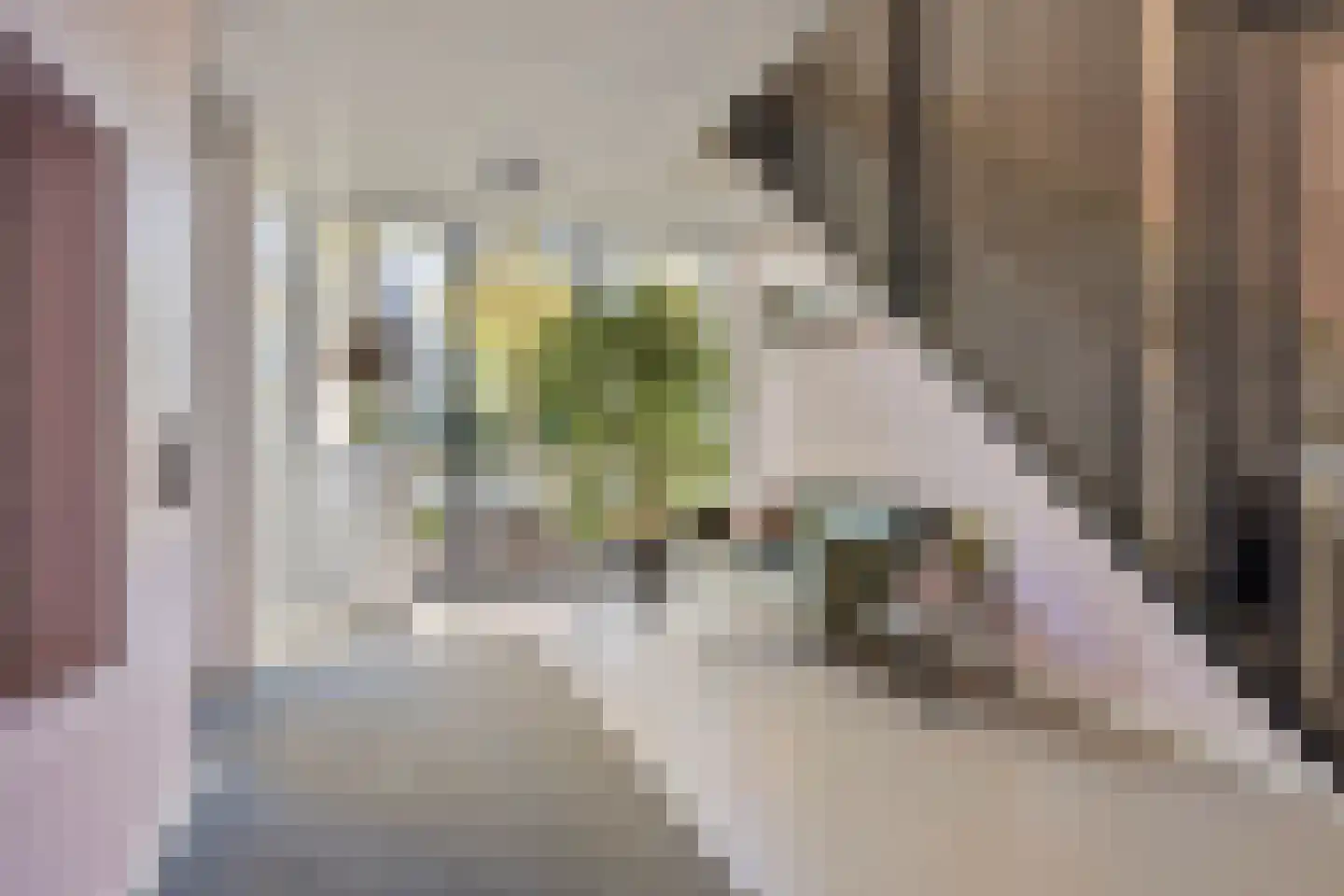 Zorgvlietstraat 1 C5 Breda thumbnail 6