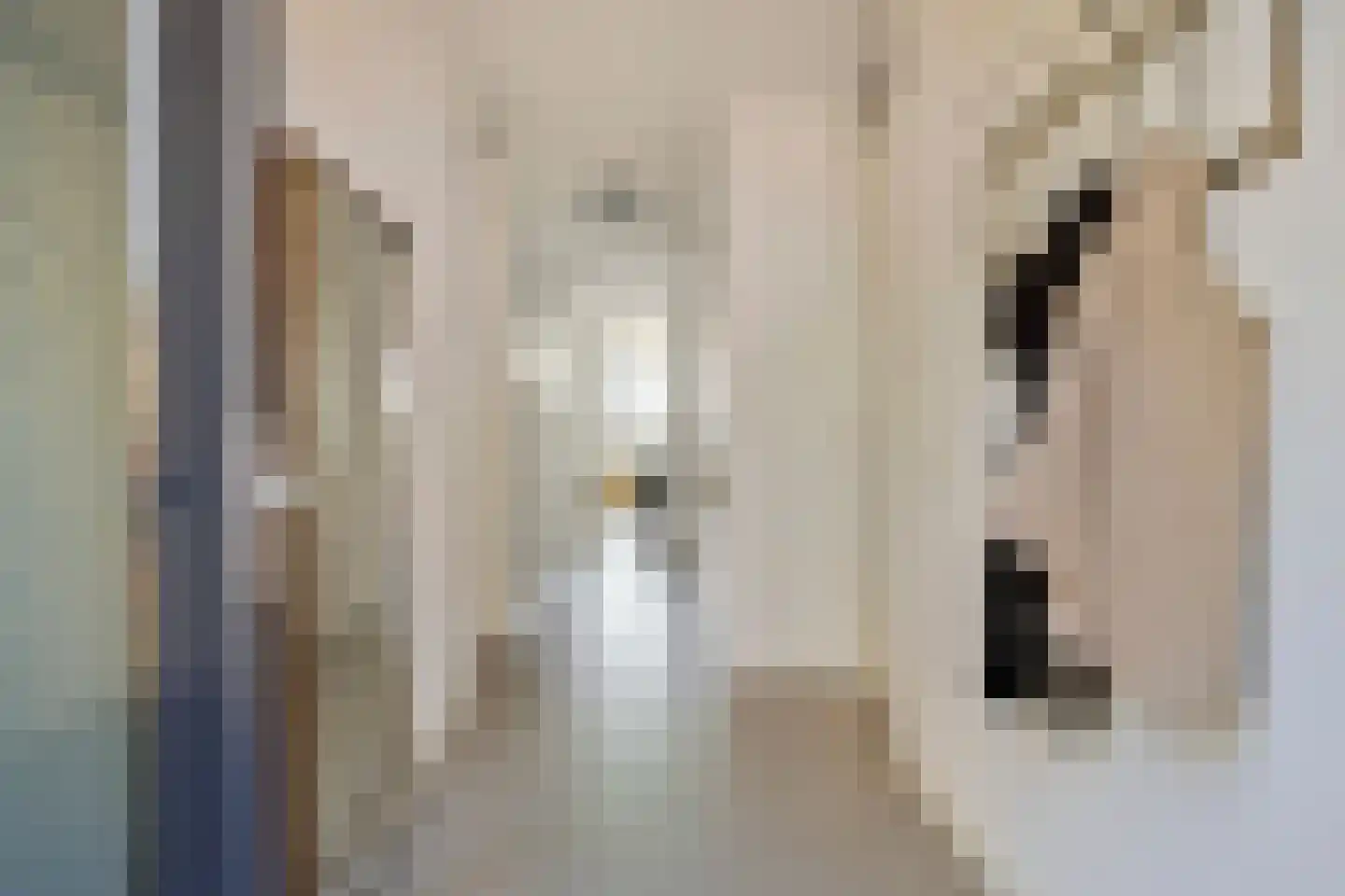 Zorgvlietstraat 1 C5 Breda thumbnail 9