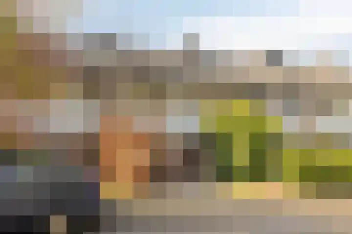 Zorgvlietstraat 102 Breda thumbnail 34