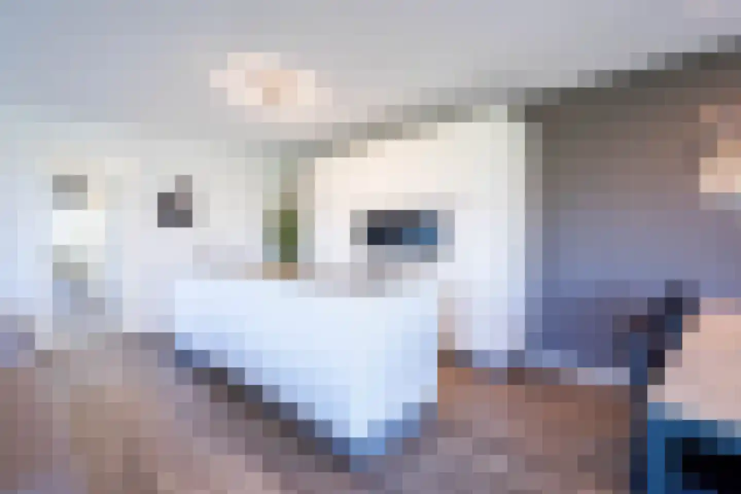 Zorgvlietstraat 3 D1 Breda thumbnail 6