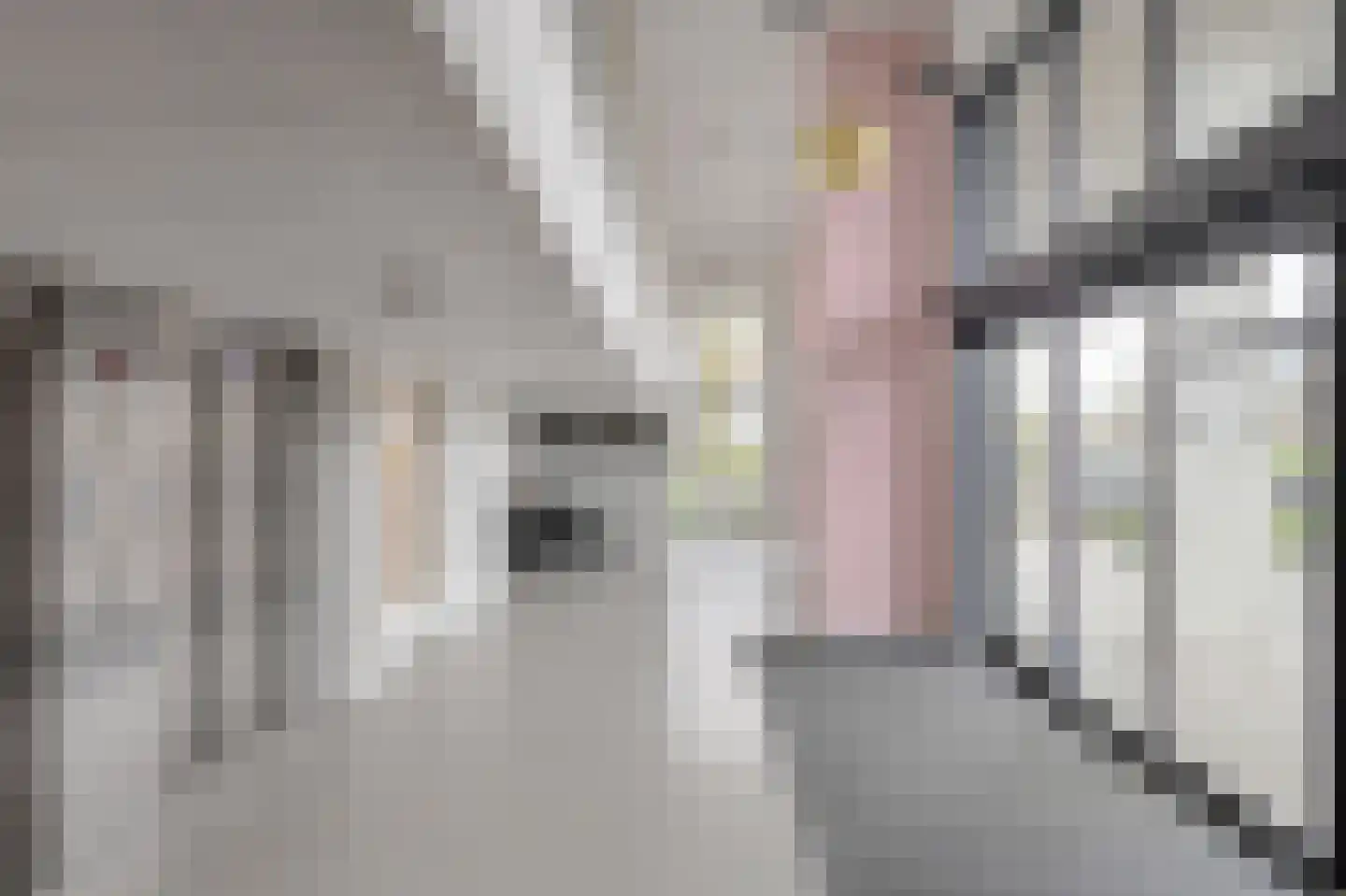 Zorgvlietstraat 3 D5 Breda thumbnail 6