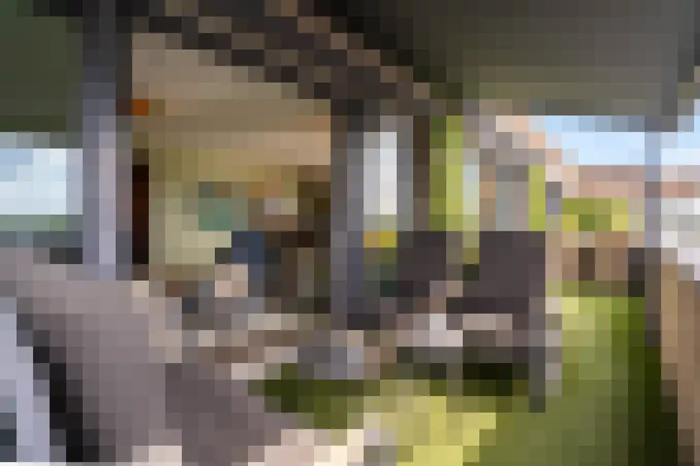 Zorgvlietstraat 3 M2 Breda thumbnail 10