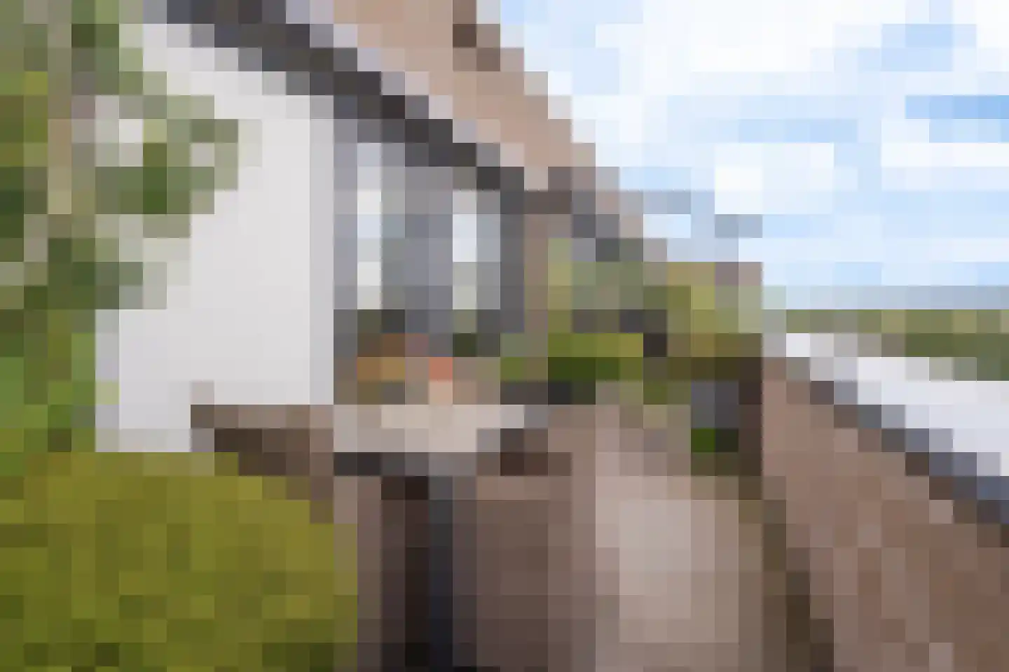 Zorgvlietstraat 3 M2 Breda thumbnail 22
