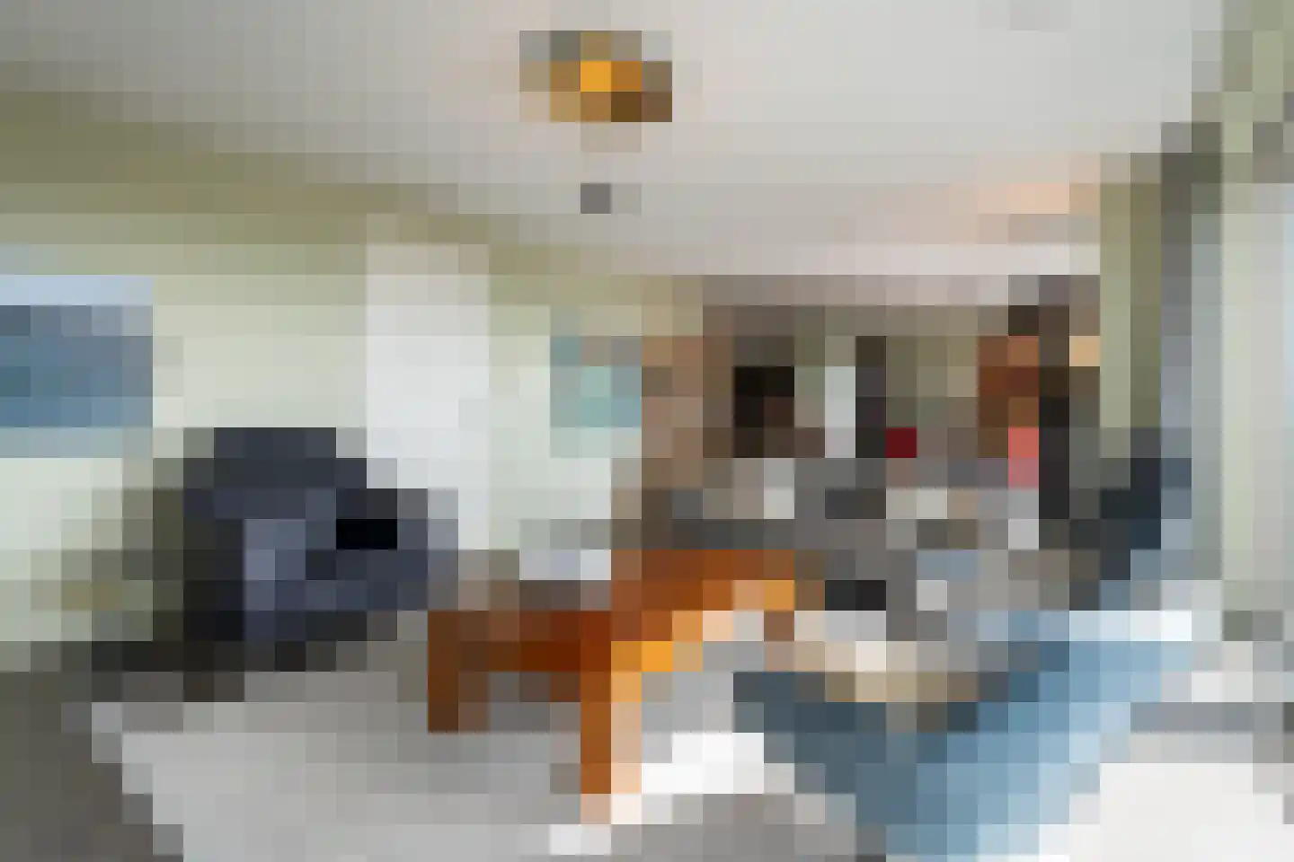 Zorgvlietstraat 3 M2 Breda thumbnail 9