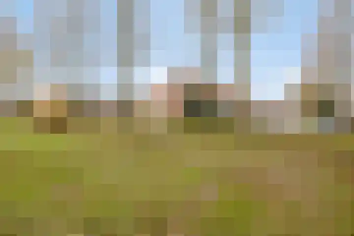 Zorgvlietstraat 497 Breda thumbnail 33