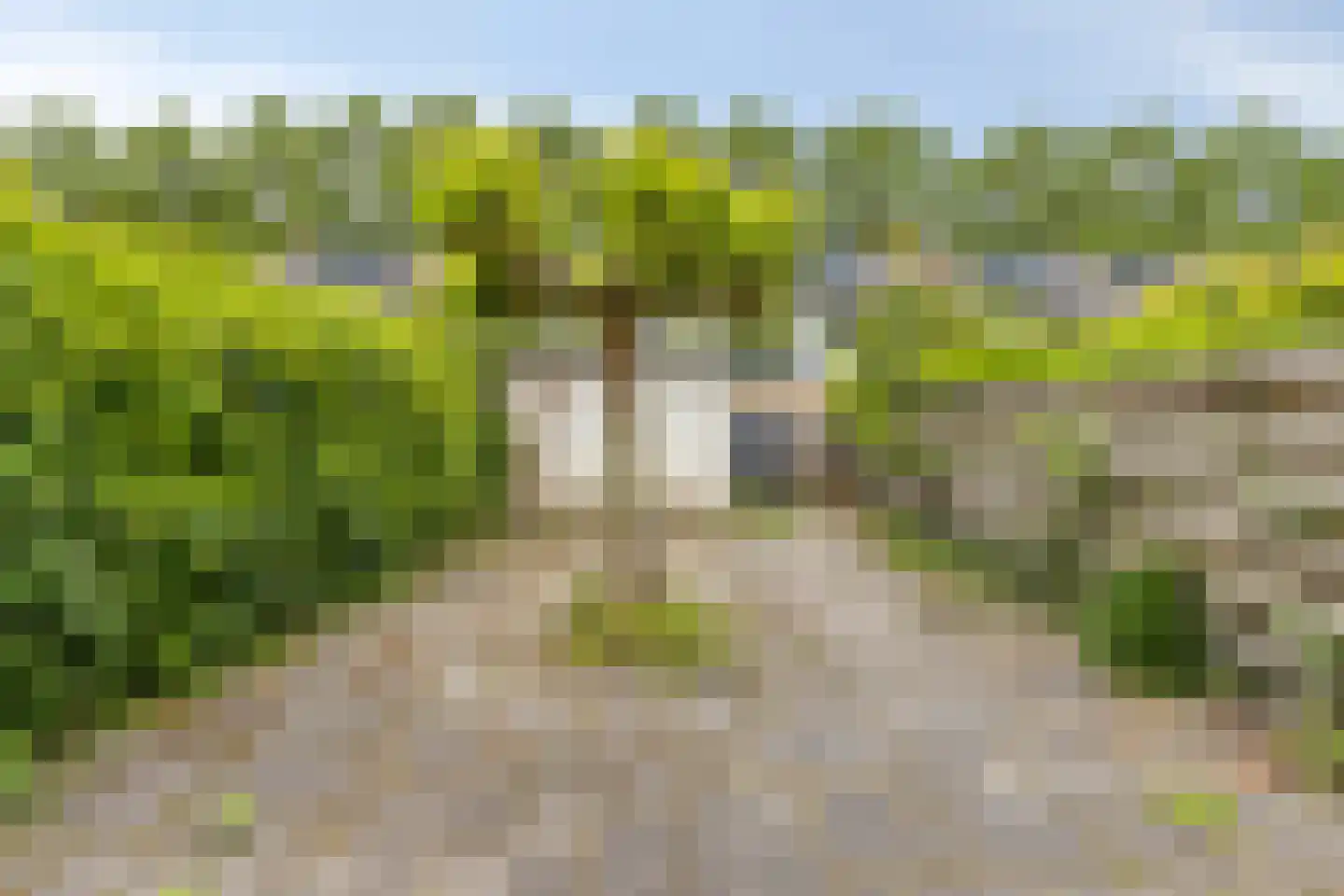 Zorgvlietstraat 80 Breda thumbnail 5