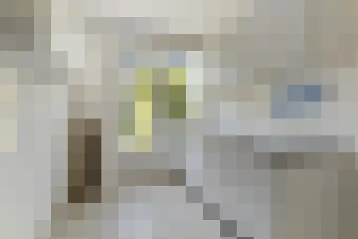Zorgvlietstraat 84 Breda thumbnail 9