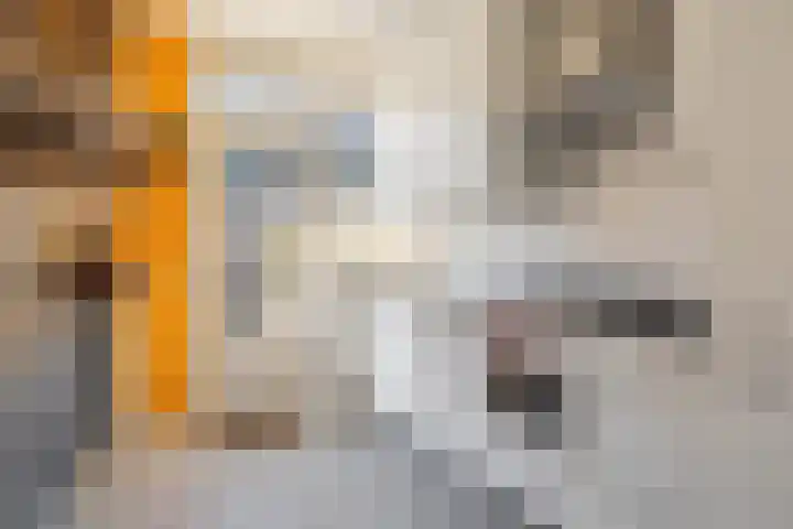 Zorgvlietstraat 88 Breda thumbnail 31
