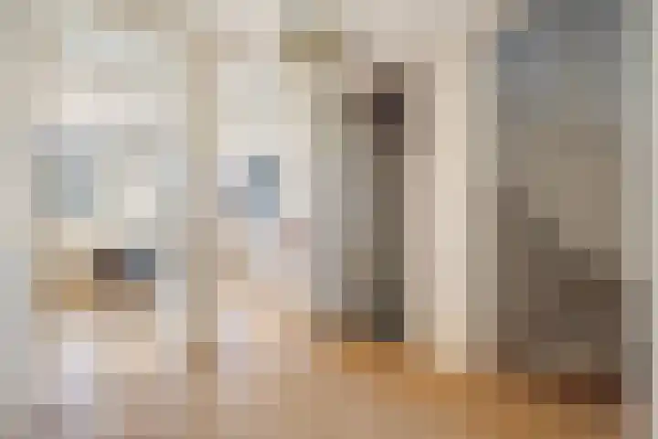 Zorgvlietstraat 88 Breda thumbnail 34