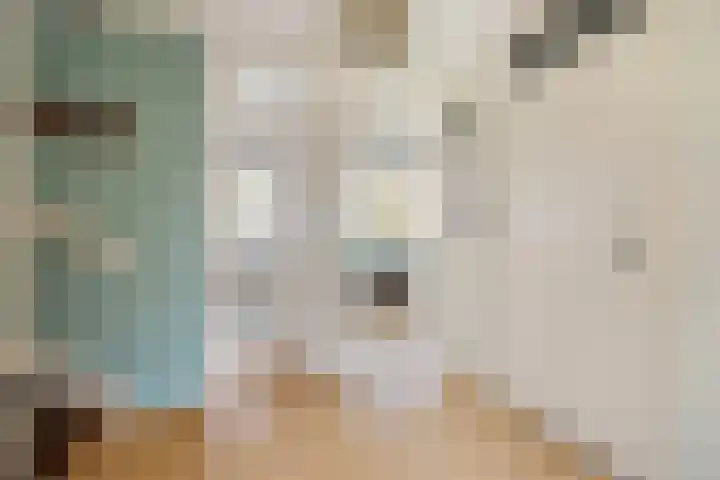 Zorgvlietstraat 88 Breda thumbnail 35