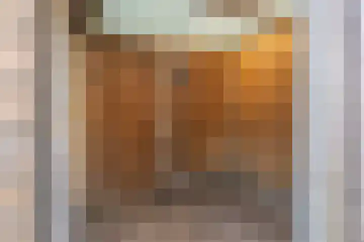 Zorgvlietstraat 88 Breda thumbnail 62