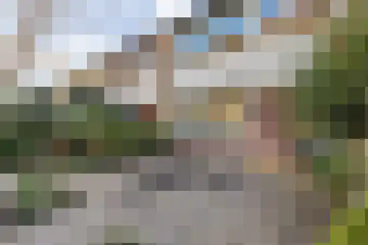 Zorgvlietstraat 88 Breda thumbnail 9