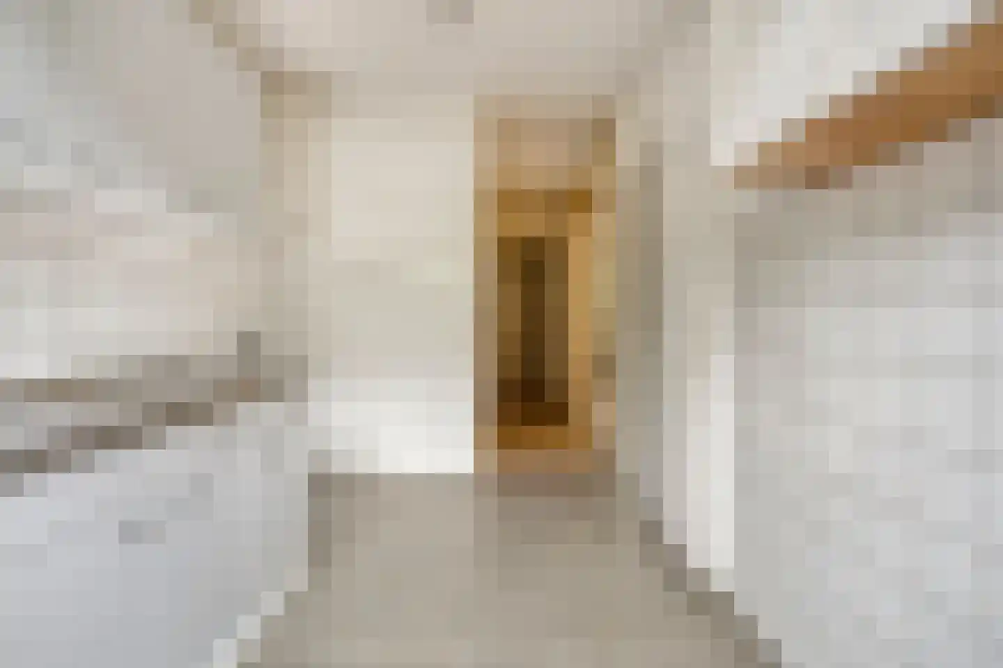 Zorgvlietstraat 92 Breda thumbnail 9
