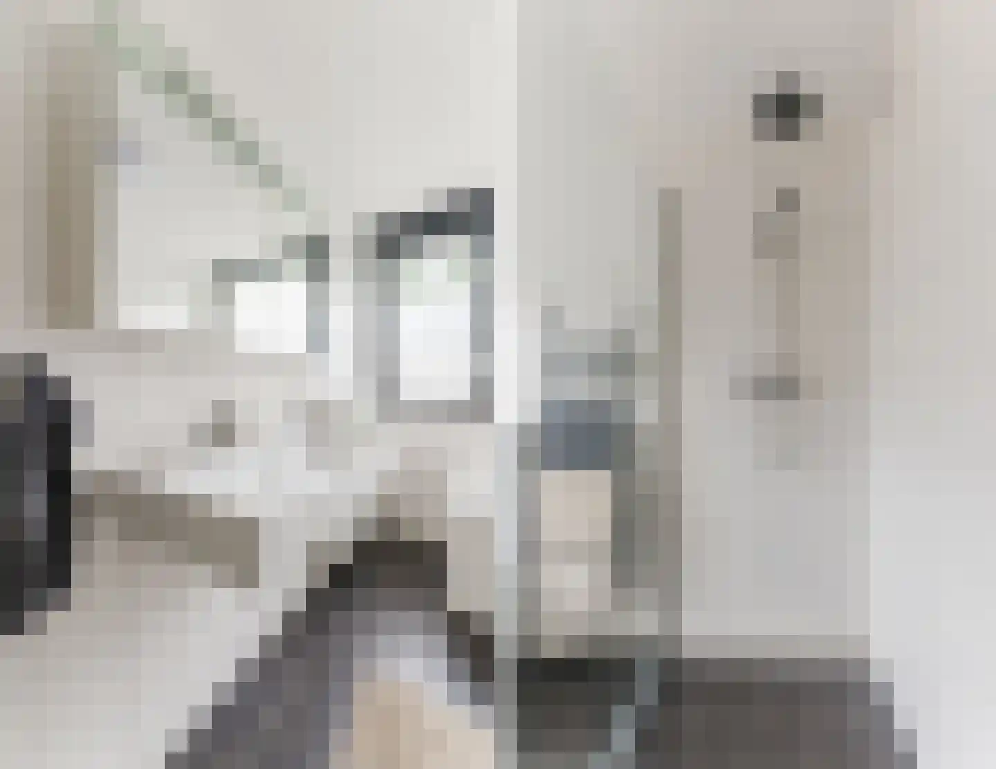 Zorgvlietstraat 94 Breda thumbnail 43