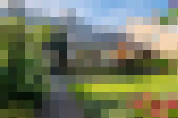 Zorgvrij 3 Haren Gn