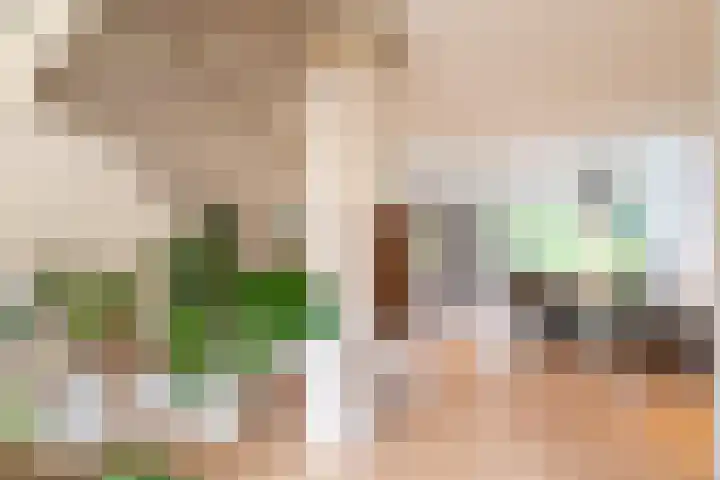 Zorgvrij 3 Haren Gn thumbnail 17