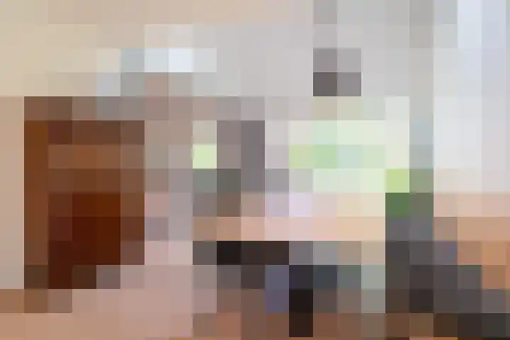 Zorgvrij 3 Haren Gn thumbnail 18
