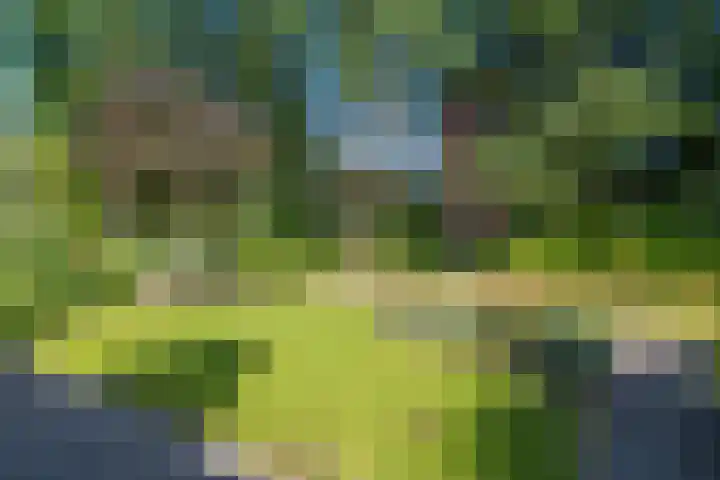 Zorgvrij 3 Haren Gn foto 3