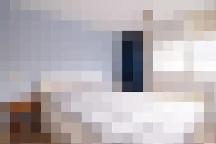 Zorgvrij 3 Haren Gn thumbnail 31