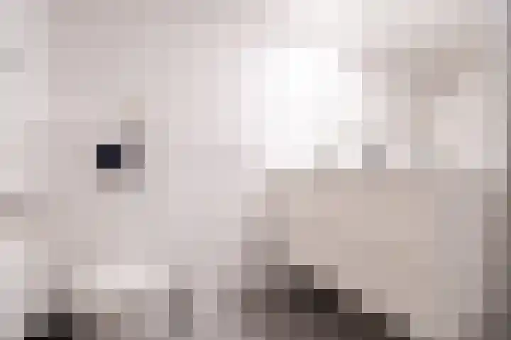 Zorgvrij 3 Haren Gn thumbnail 39