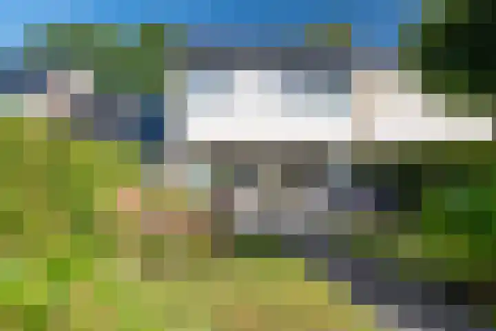 Zorgvrij 3 Haren Gn thumbnail 4